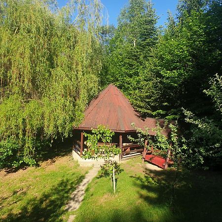 Casa Lacramioara Villa Sîmbăta de Sus Bagian luar foto