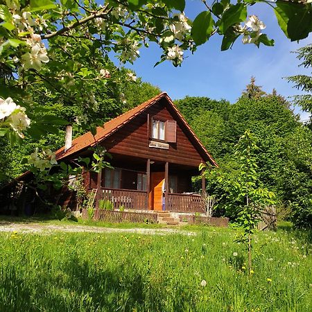 Casa Lacramioara Villa Sîmbăta de Sus Bagian luar foto