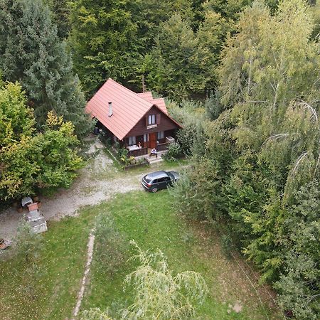 Casa Lacramioara Sîmbăta de Sus Bagian luar foto