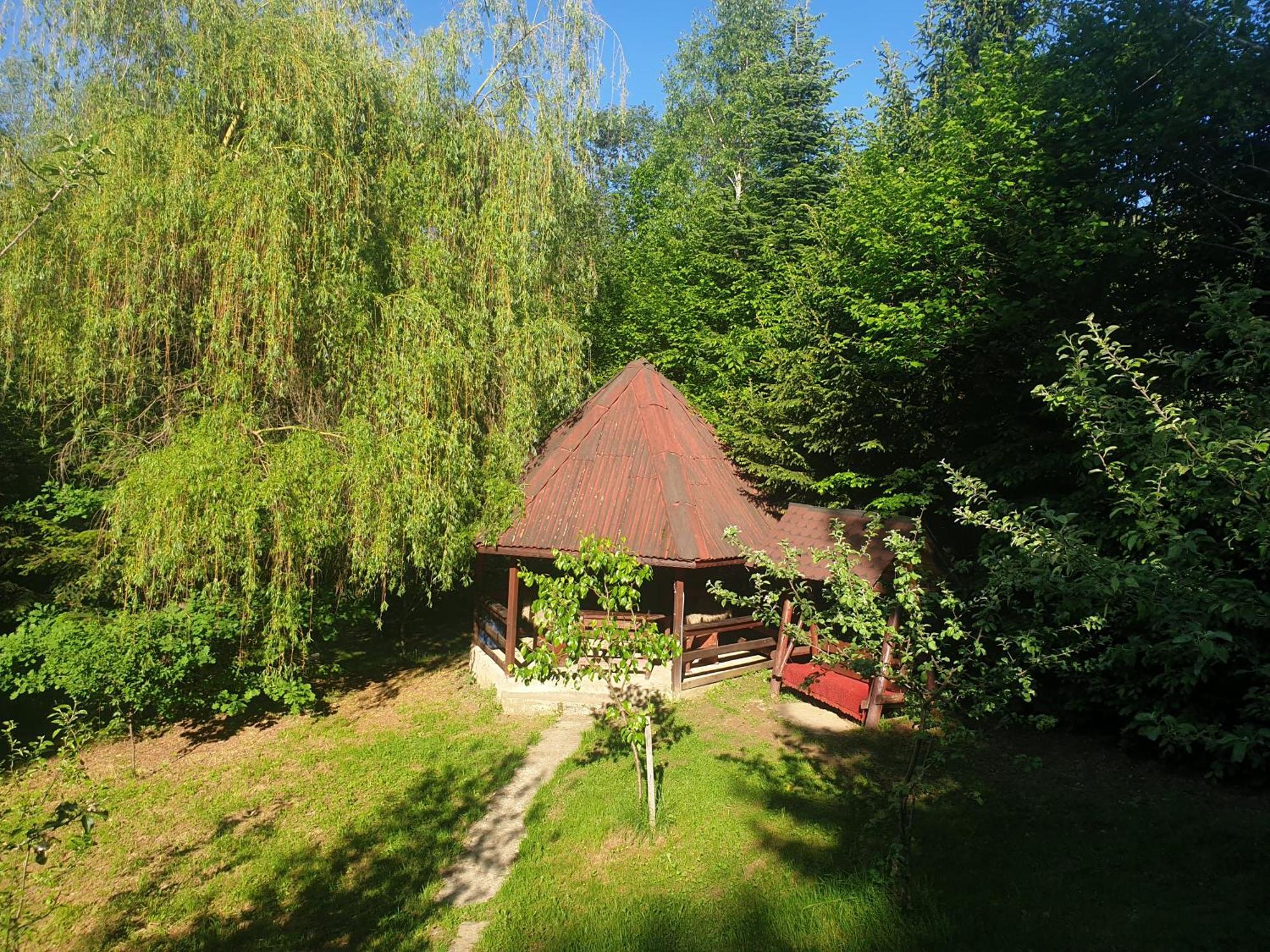 Casa Lacramioara Villa Sîmbăta de Sus Bagian luar foto