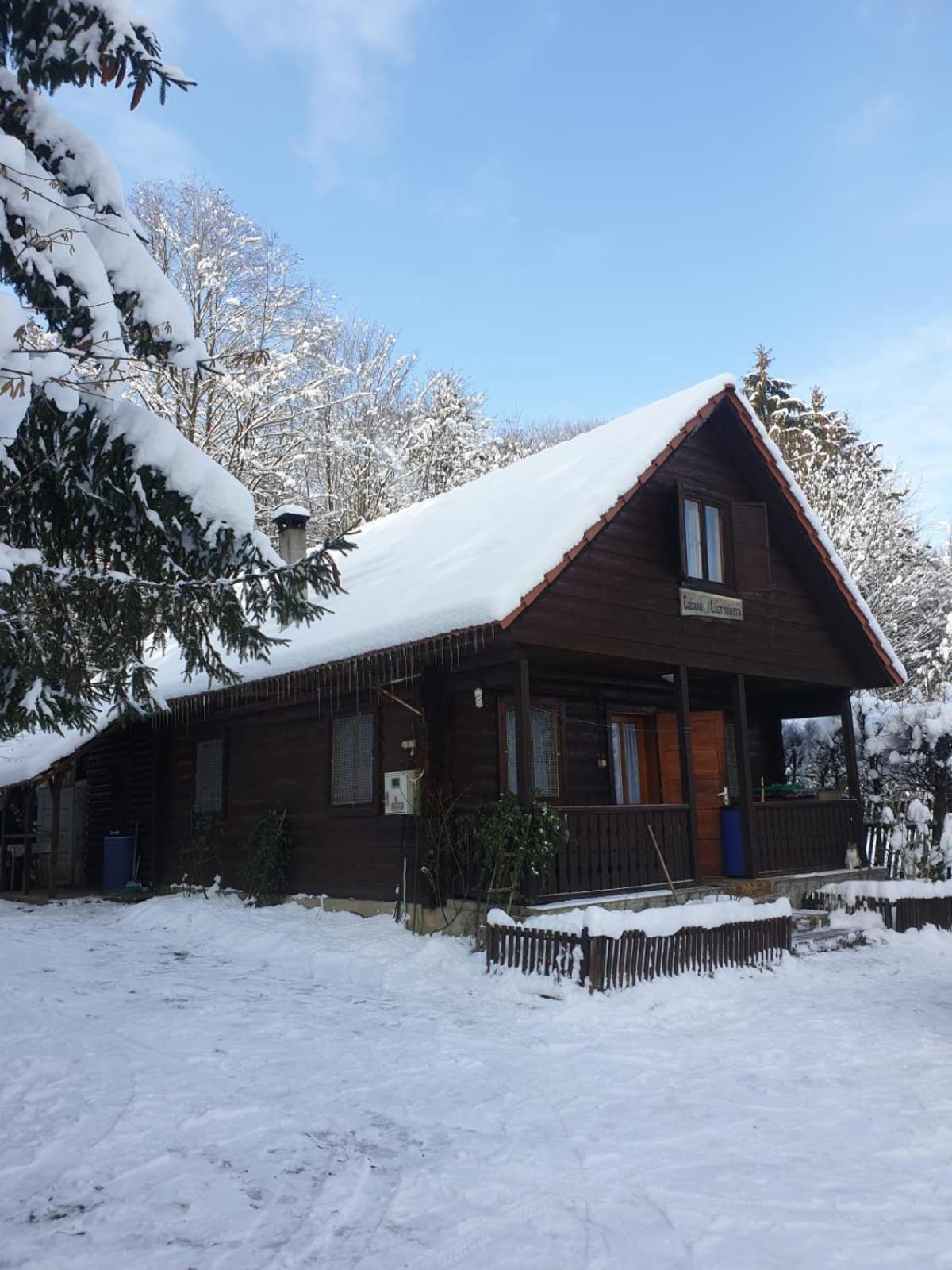 Casa Lacramioara Villa Sîmbăta de Sus Bagian luar foto