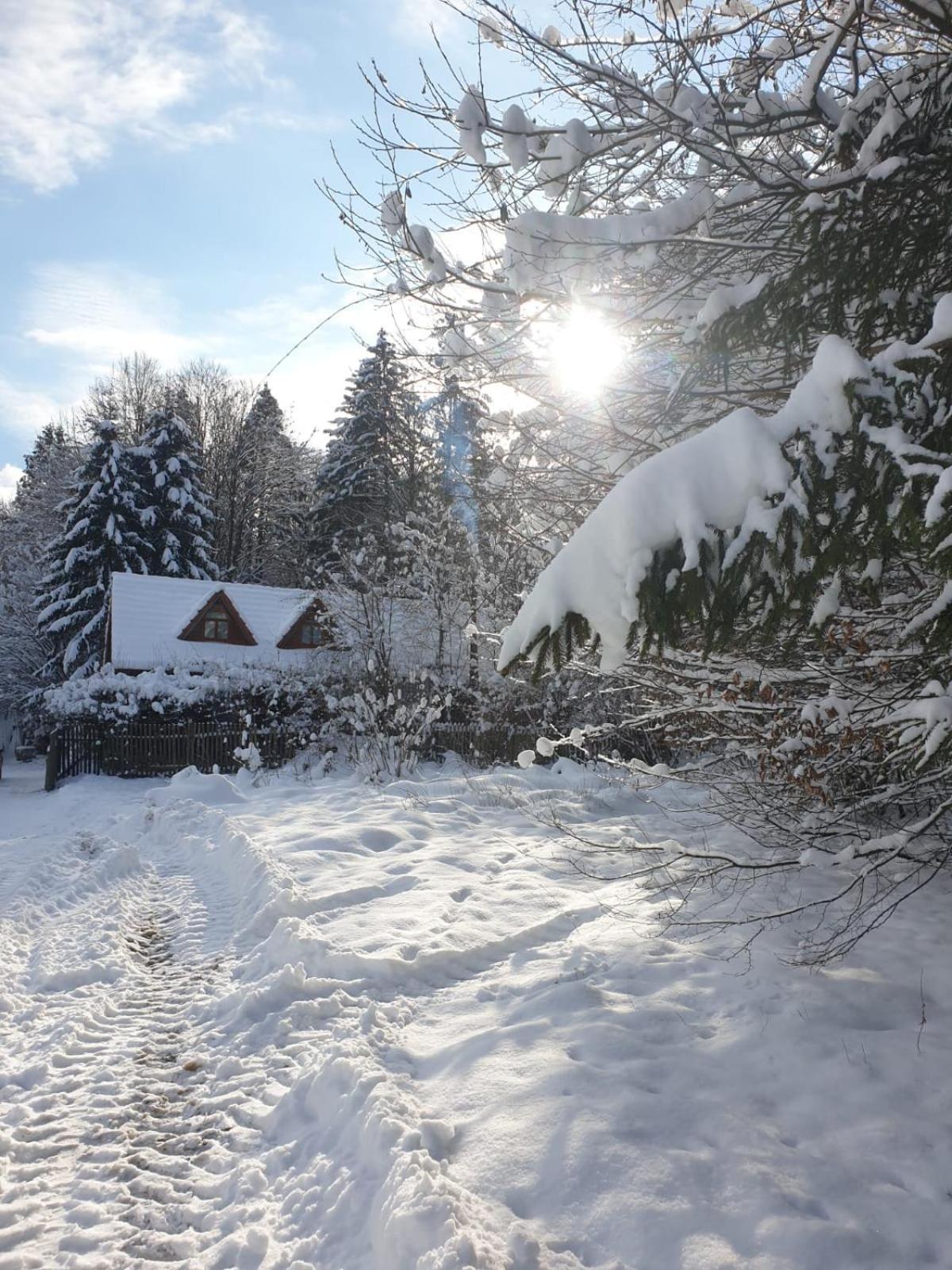 Casa Lacramioara Villa Sîmbăta de Sus Bagian luar foto