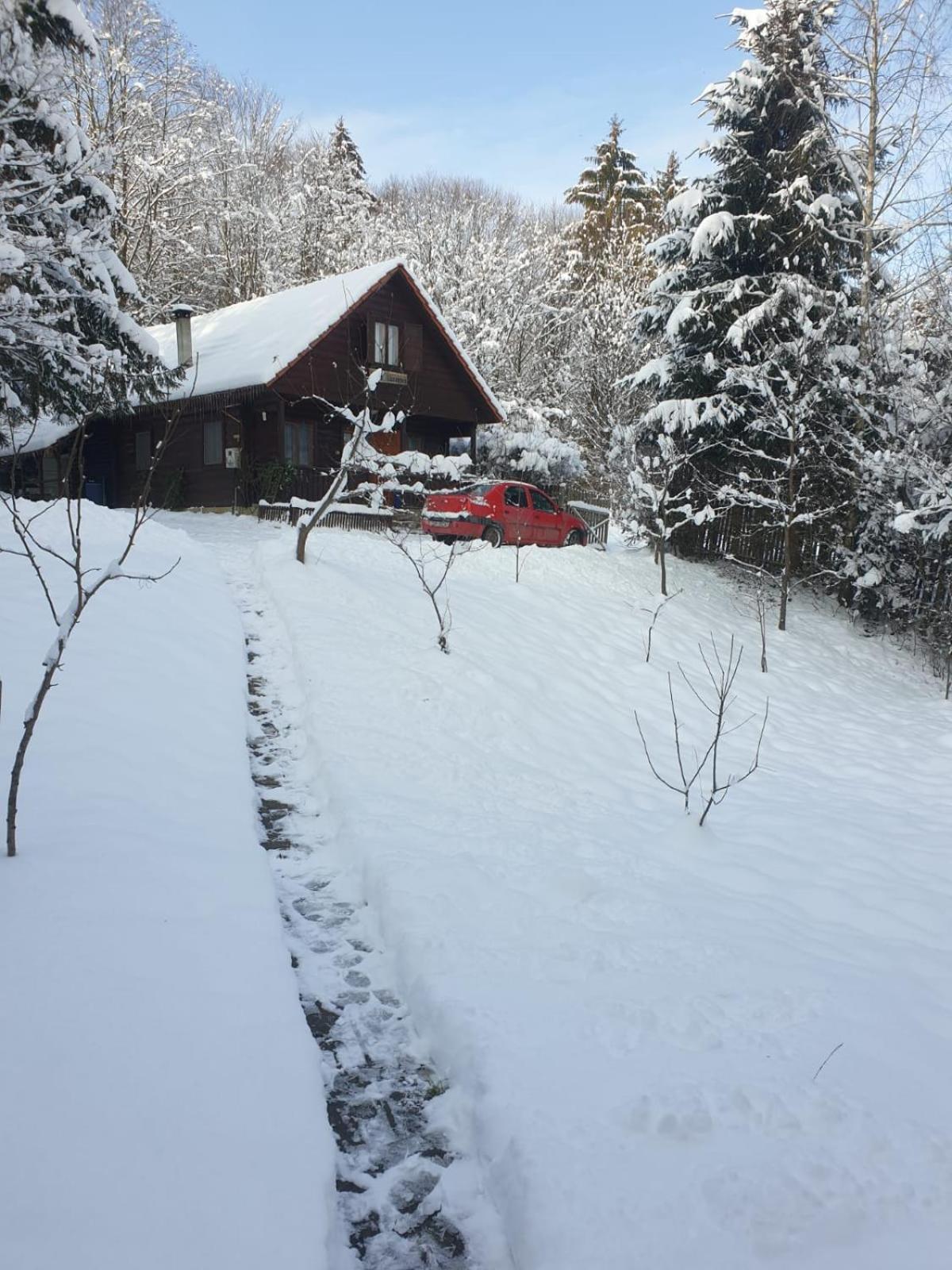 Casa Lacramioara Sîmbăta de Sus Bagian luar foto