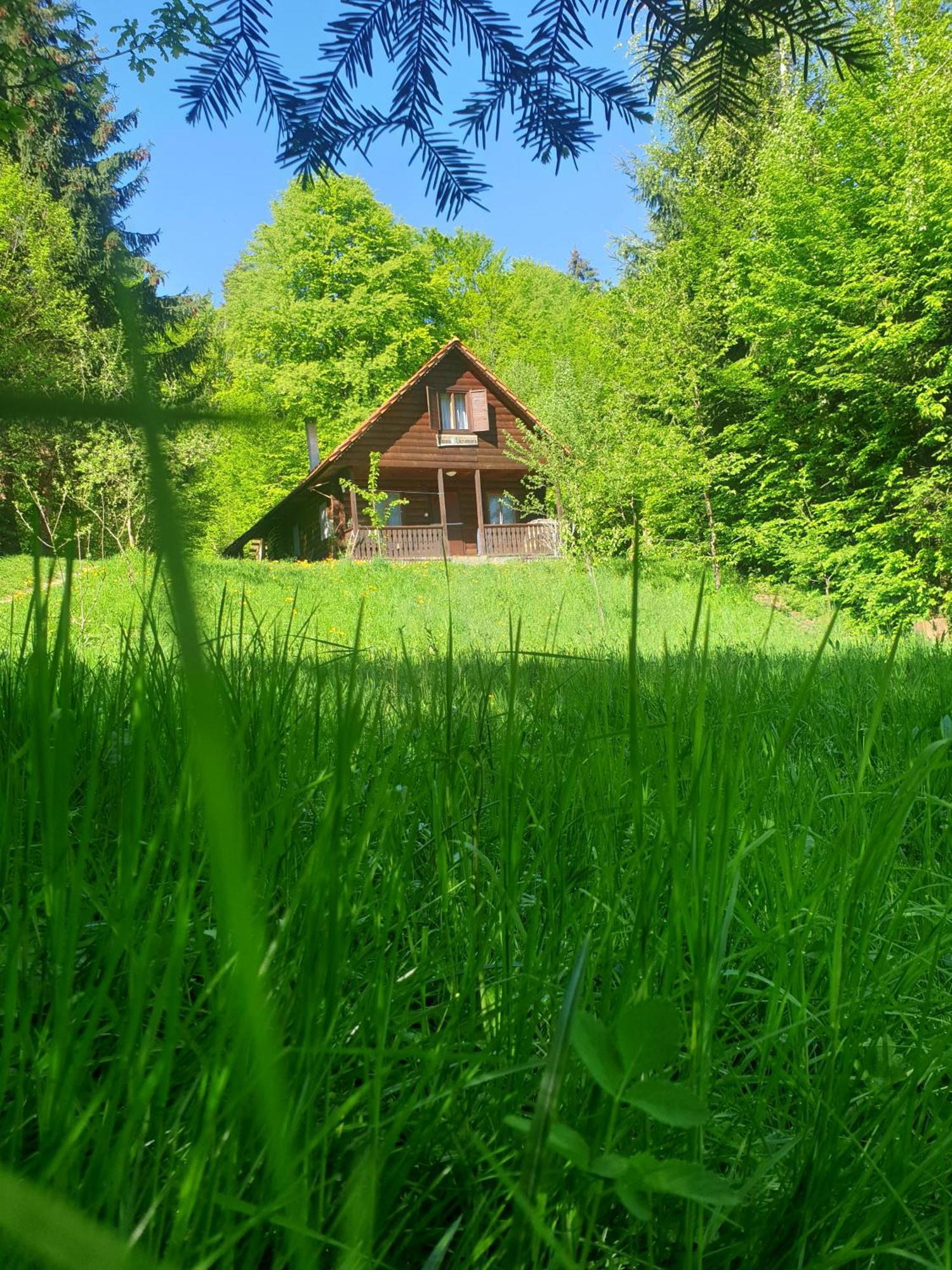 Casa Lacramioara Villa Sîmbăta de Sus Bagian luar foto