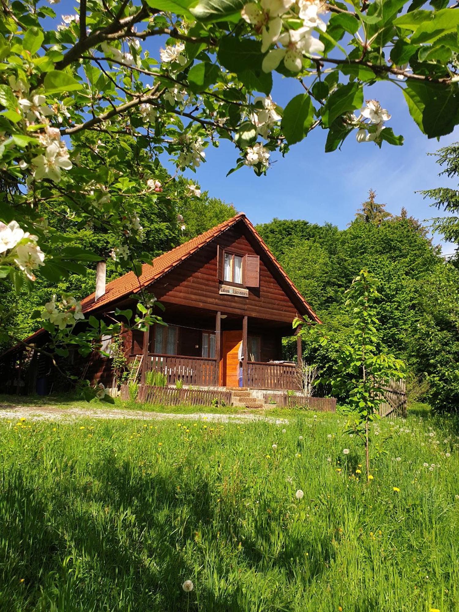 Casa Lacramioara Sîmbăta de Sus Bagian luar foto