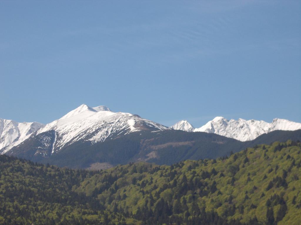 Casa Lacramioara Sîmbăta de Sus Bagian luar foto