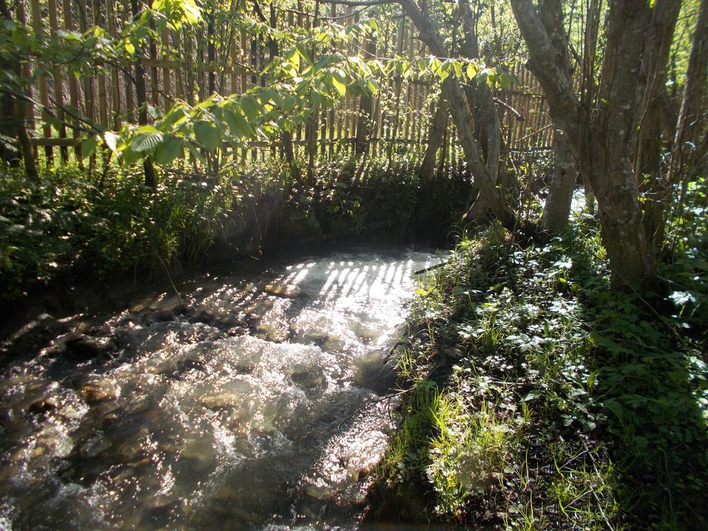 Casa Lacramioara Sîmbăta de Sus Bagian luar foto