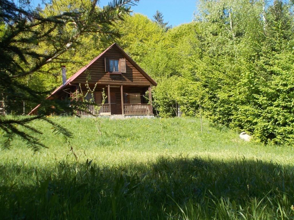 Casa Lacramioara Villa Sîmbăta de Sus Bagian luar foto