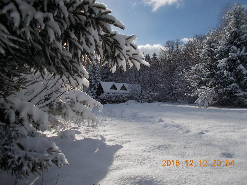 Casa Lacramioara Villa Sîmbăta de Sus Bagian luar foto